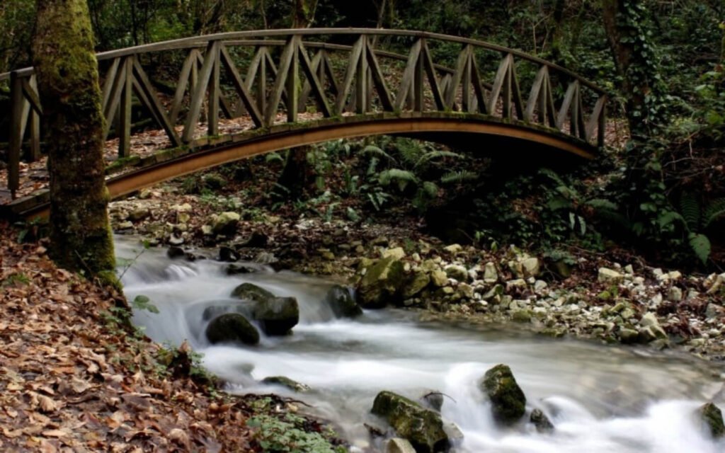 SAPANCA MAŞUKİYE TOUR 4