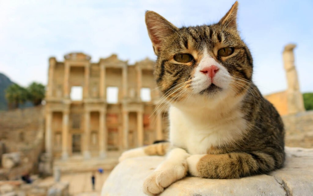 16 DAYS GRAND TURKEY TOUR PACKAGE 3