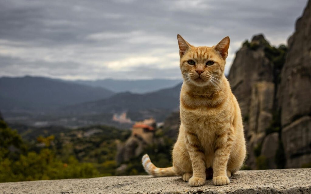 BEST OF GREECE – ATHENS TO SANTORINI 4