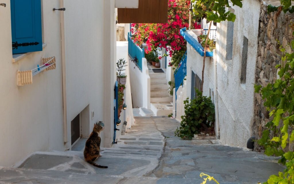 GREEK ISLAND HOPPING PAROS, IOS & SANTORINI SUNSETS 3