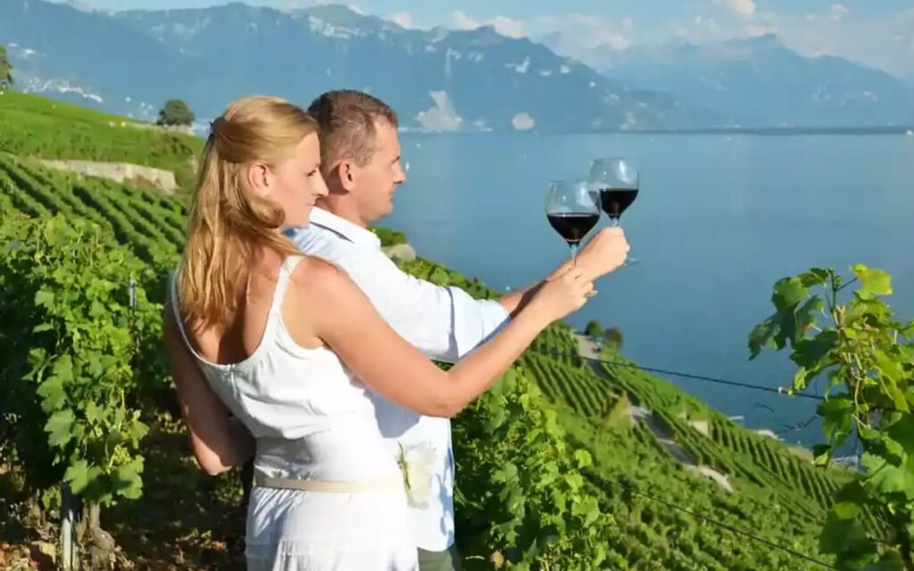 Swiss Cheese & Wine Discovery 5