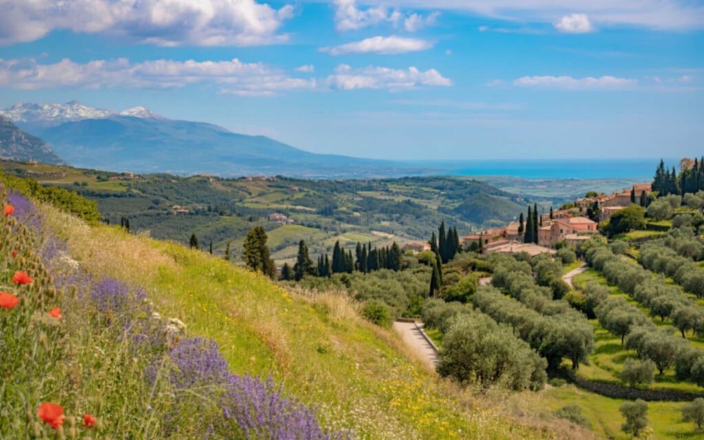 TUSCANY COFFEE & OLIVE OIL DAY TOUR 2