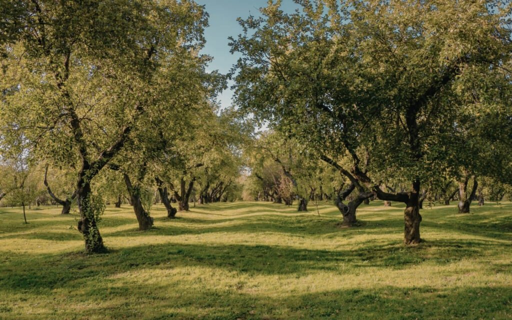 TUSCANY COFFEE & WINE DAY TOUR FROM FLORENCE 2