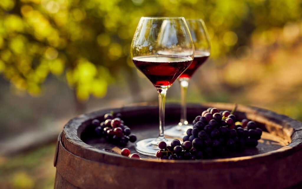 TUSCANY OLIVE OIL & WINE DAY TOUR FROM FLORENCE 1