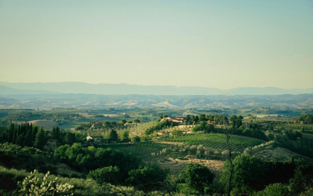 TUSCANY OLIVE OIL & WINE DAY TOUR FROM FLORENCE 3