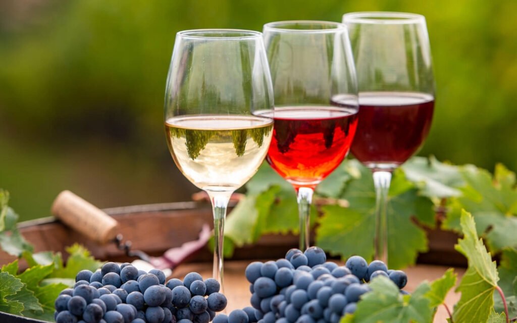 PARIS TO MADRID CASTLES & BASQUE WAVES