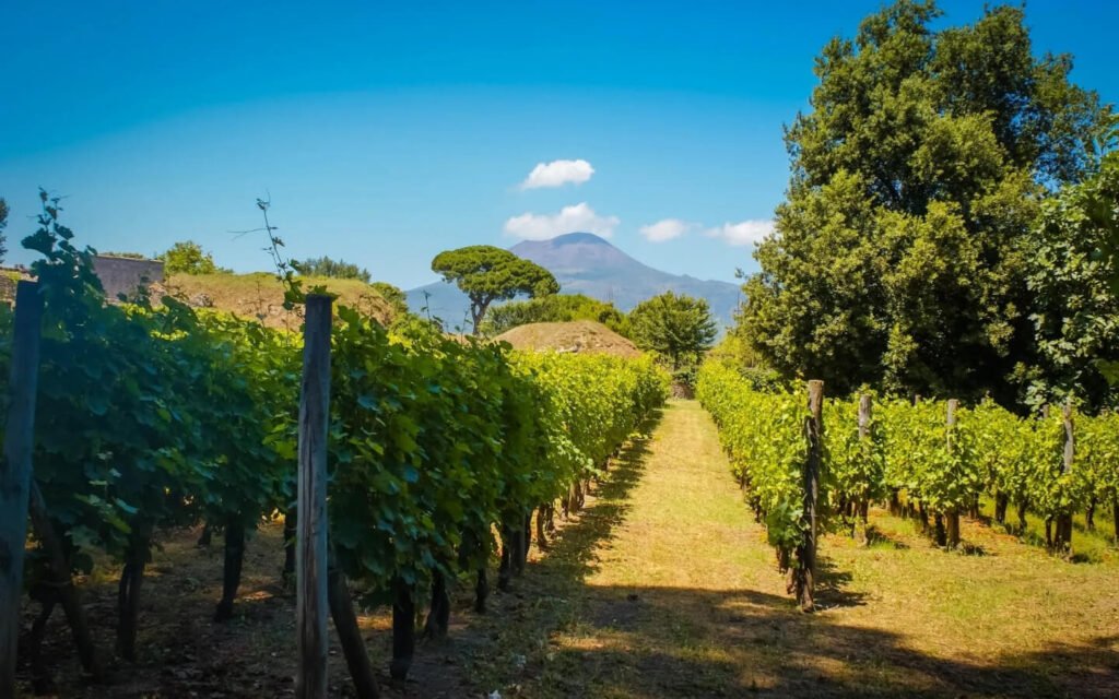 ANCIENT POMPEII & HORSEBACK RIDING ON MT. VESUVIO 2